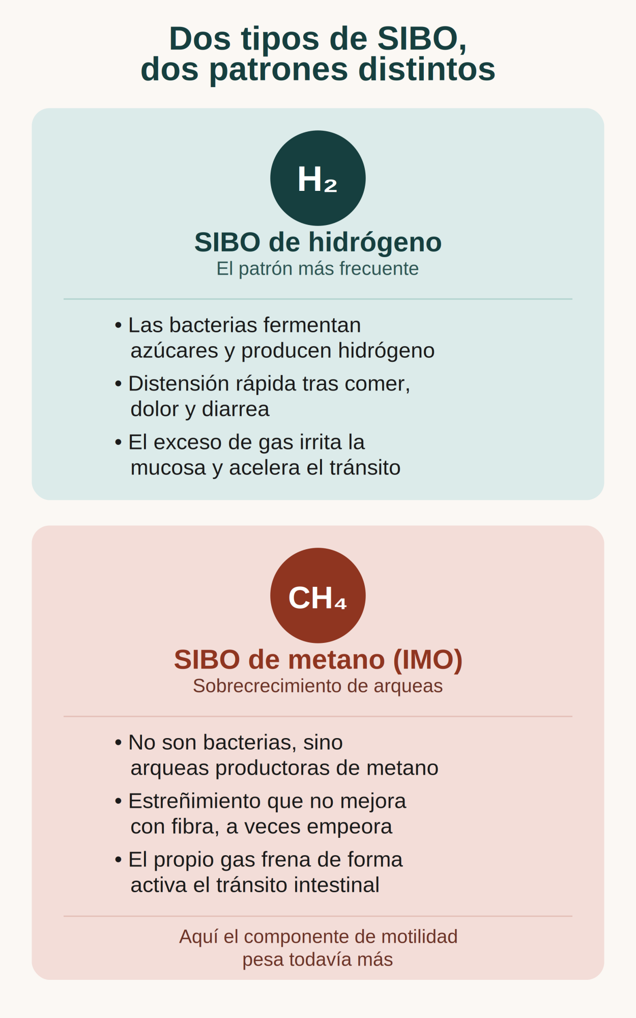 Infografía SIBO de hidrógeno y de metano Fisioterapia Serenyal Barrio del Pilar Madrid
