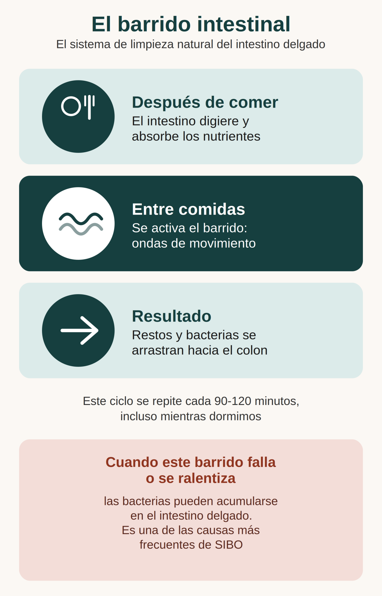 Infografía movimiento de barrido intestinal Fisioterapia Serenyal Barrio del Pilar Madrid SIBO